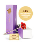 24K Gold Plated Rose - Red