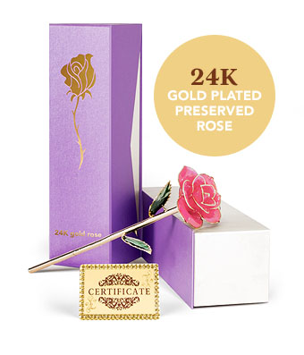 24K Gold Plated Rose - Pink - Click to order