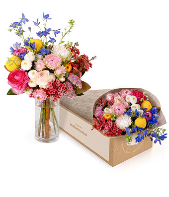 Phoebe - Click to order