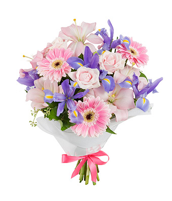 Alyssa - Click to order