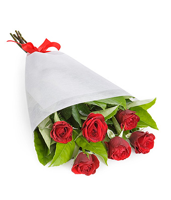 Sapphire - Click to order