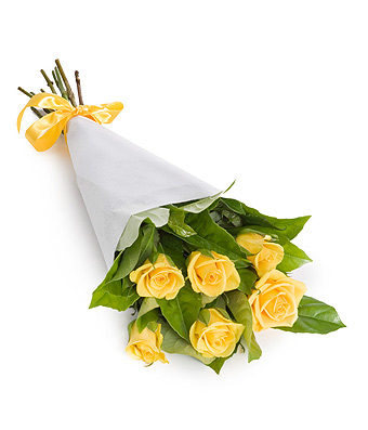 Sienna - Click to order