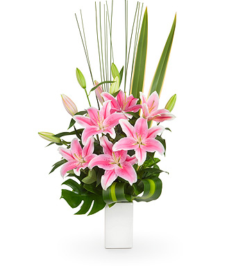 Brydie - Click to order