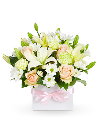 Caroline - Click to order