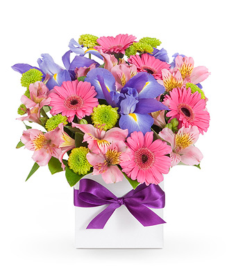 Flowers from $45 - EASYFLOWERS Australia - Send Flowers Online ...