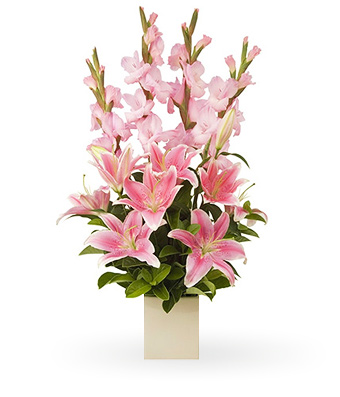 Felicity - Click to order