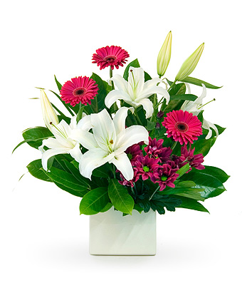 Jordan - Click to order