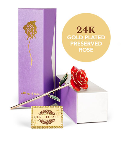 24K Gold Plated Rose - Red