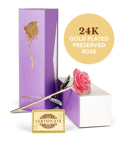 24K Gold Plated Rose - Pink